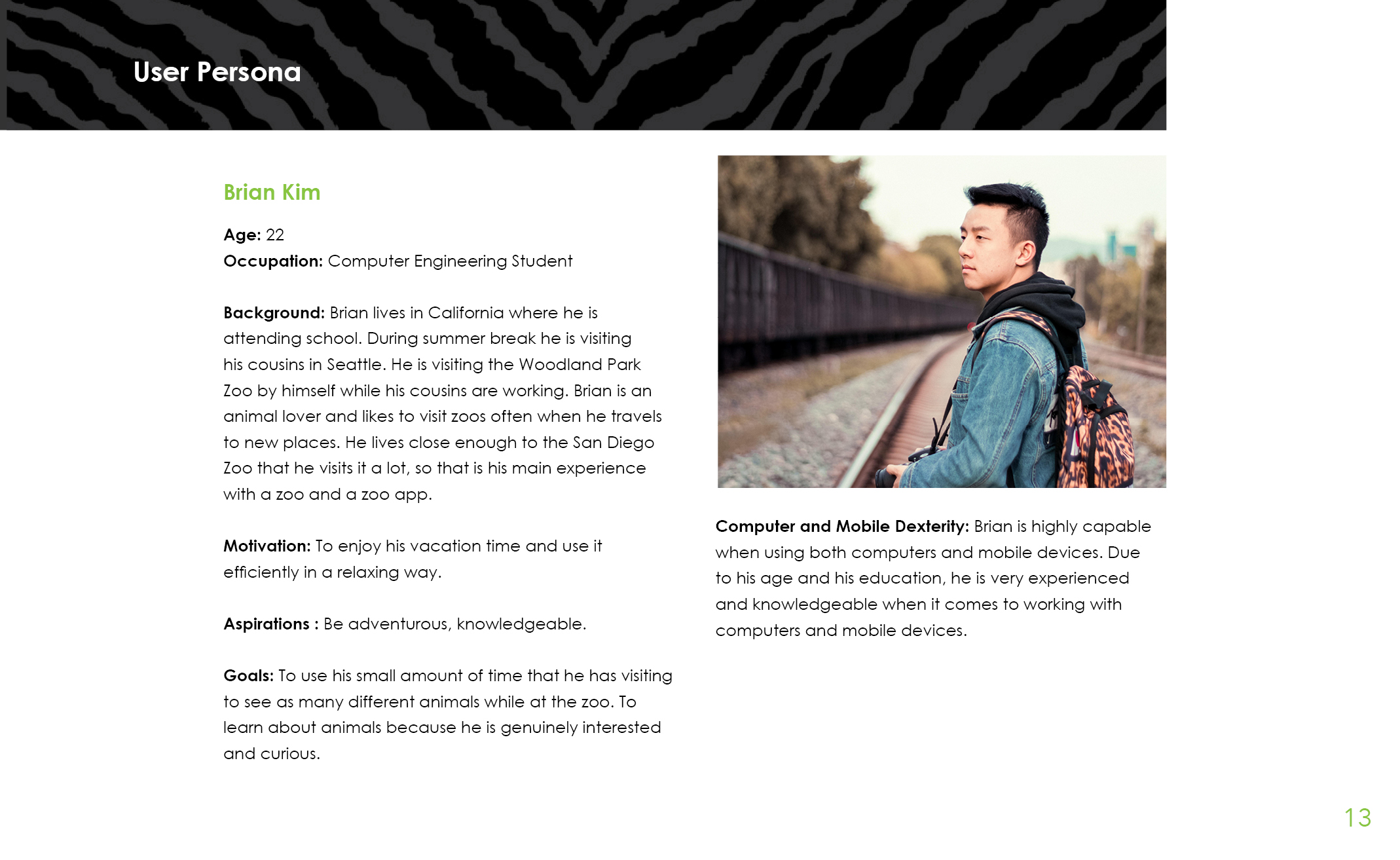 Zoo Case Study Port 213