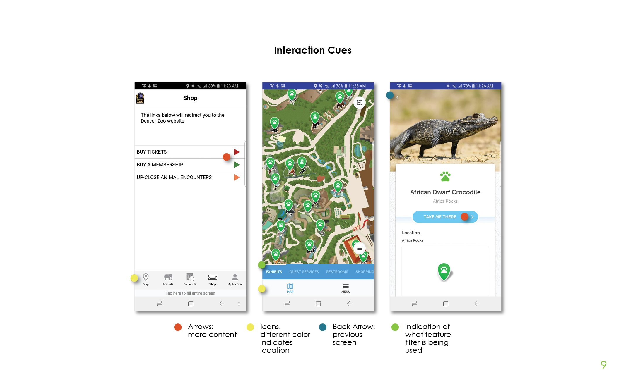Zoo Case Study Port 29