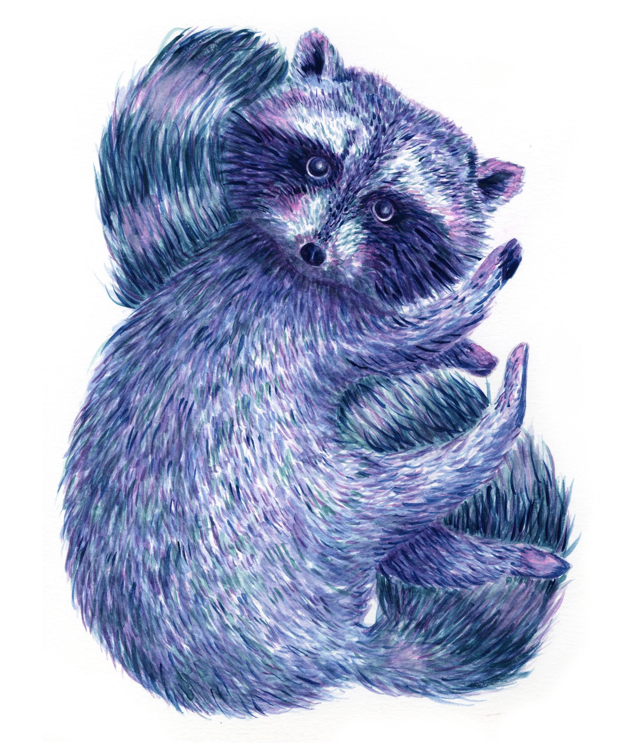 IMG_20191217_162217_201